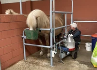 Exkursion Stutenmilch