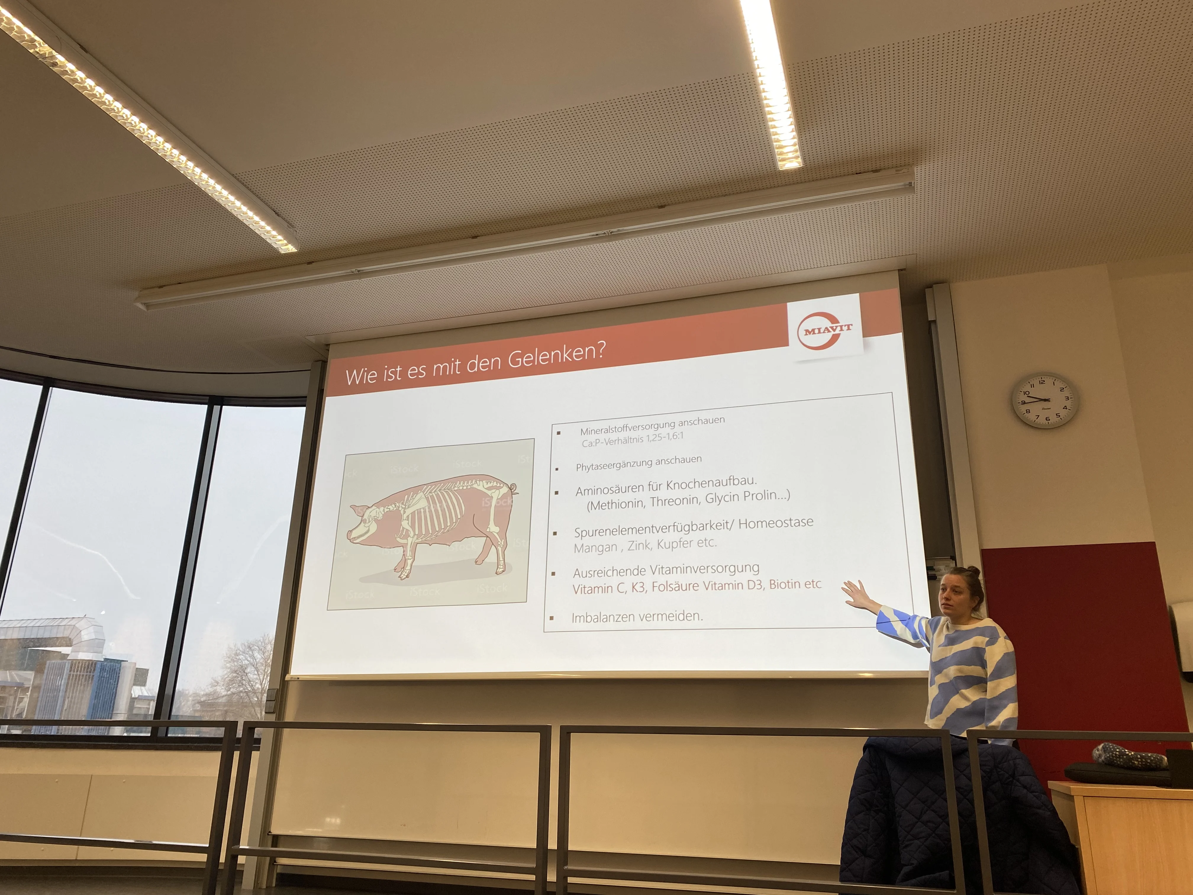 Klara Schmitz_Miavit